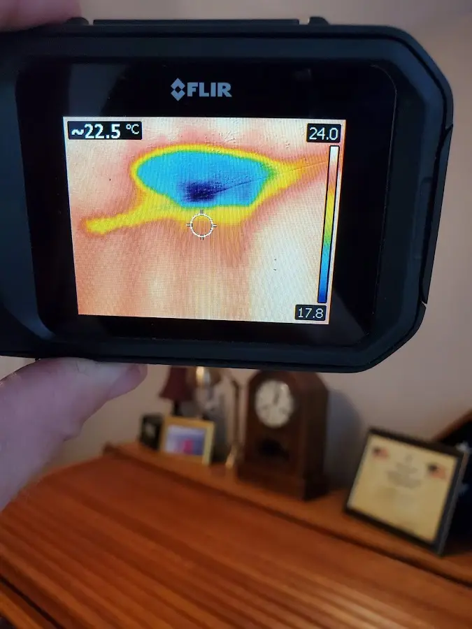 Thermal imaging inspection for water damage in Orting